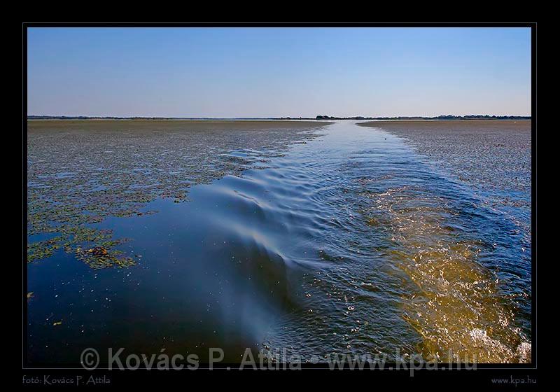Tisza-tó 062.jpg